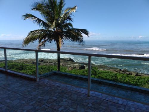 a view of the ocean and a palm tree at Hotel Pousada Miami in Itanhaém