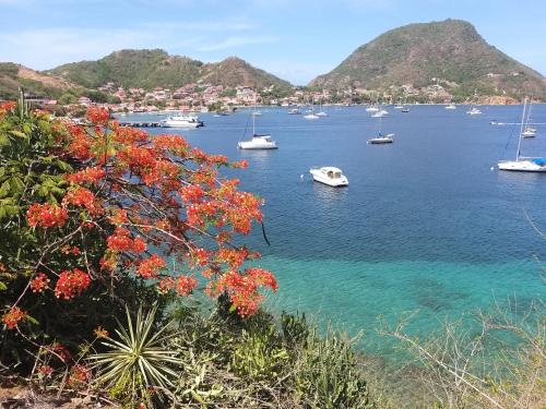 a view of a harbor with boats in the water at STUDIO Grande Anse 4 pers - proche centre in Terre-de-Haut