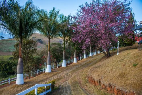 a row of palm trees with pink flowers on a hill at Pousada Sonho Meu in Itanhandu
