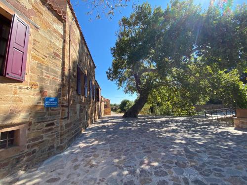 a brick building with a tree next to a sidewalk at Archontiko Riziko in Kambos