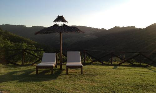 two chairs under an umbrella in a field at Agriturismo Acero Rosso in Civitella di Romagna