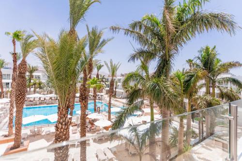 a view of the pool and palm trees at the resort at Astral Palma Hotel in Eilat