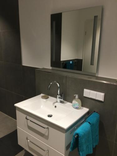 a bathroom with a sink and a mirror at Ferienwohnung Bungenhof Alpacas in Celle