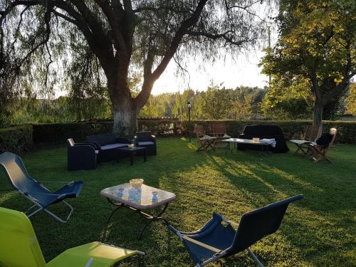 un patio con sillas, una mesa y un árbol en L'albero Del Pepe, en Fiano Romano
