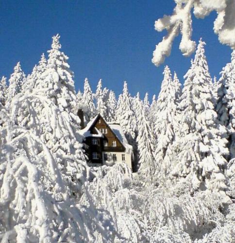 a cabin in the middle of a snow covered forest at Pension und Gaststätte Naturbaude Eschenhof in Kurort Oberwiesenthal