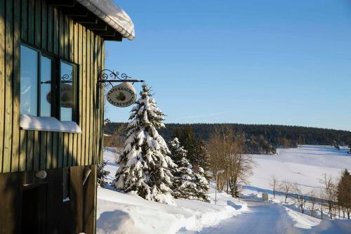 a snow covered christmas tree next to a building at Pension und Gaststätte Naturbaude Eschenhof in Kurort Oberwiesenthal