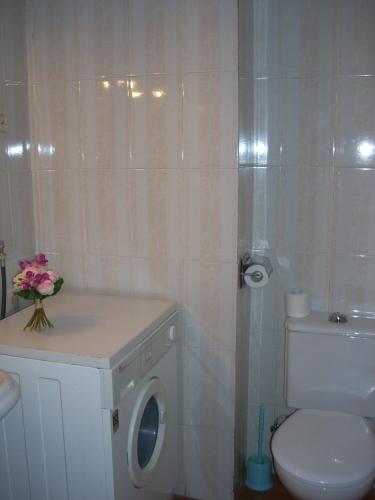 a bathroom with a toilet and a sink and a washing machine at Ribagorza in Benasque