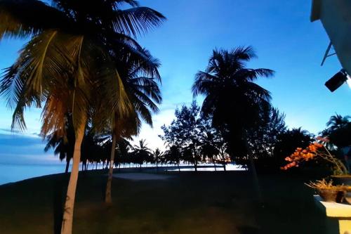 a view of a beach with palm trees at Port Dickson PD Beach Front Homestay in Port Dickson