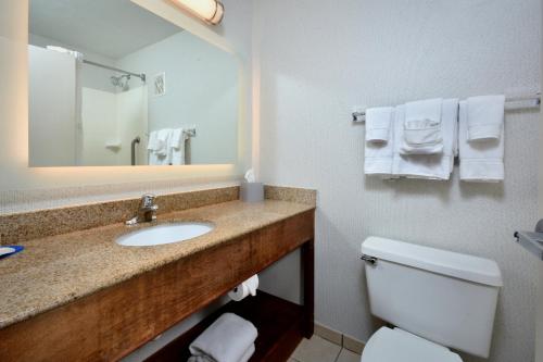 Ванная комната в Holiday Inn Express Lynchburg, an IHG Hotel