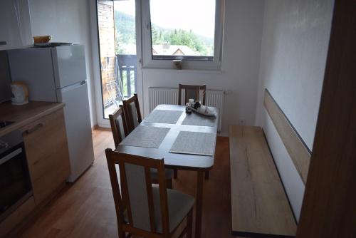 a kitchen with a table with chairs and a refrigerator at Apartmány Kubova Huť in Kubova Huť