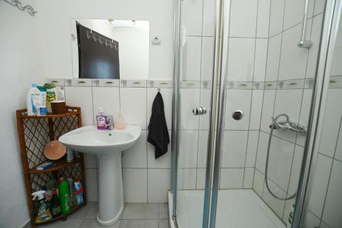 a bathroom with a sink and a shower at Seoska kuca Stojanović in Kladovo