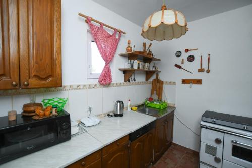 a kitchen with a sink and a counter top at Seoska kuca Stojanović in Kladovo