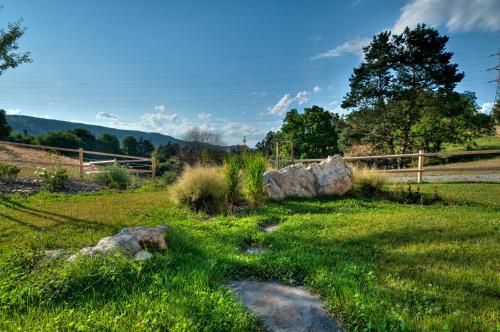 a field with a rock in the grass at Statek Samsara in Blansko