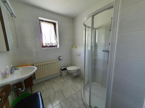 a bathroom with a shower and a toilet and a sink at Weingarten-Haus in Klöch