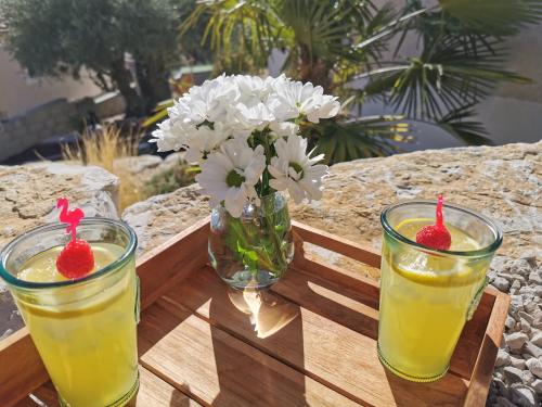 a table with two cocktails and a vase of flowers at Suite romantique Le temps d'un Instant Loveroom Hammam jacuzzi piscine in Villeneuve