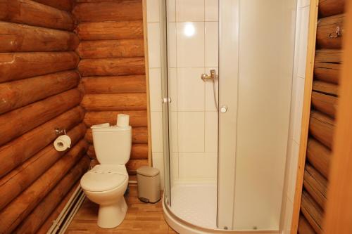 een badkamer met een toilet en een inloopdouche bij Monte Vista in Rostoka