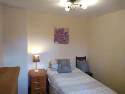 ein Schlafzimmer mit 2 Betten, einer Kommode und einer Lampe in der Unterkunft Countryside Lodge in Peterborough
