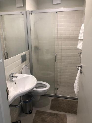 a bathroom with a shower and a toilet and a sink at Preiliai apartments in Preila