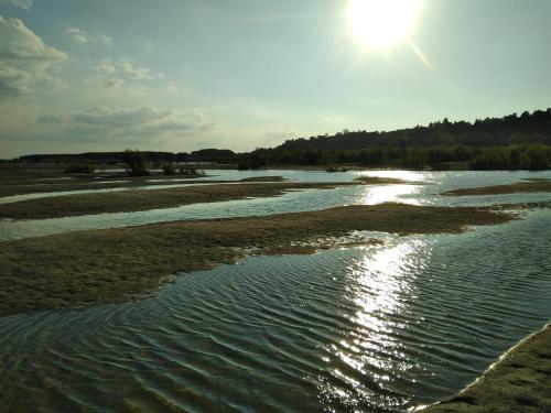 a river with the sun reflecting on the water at Belegis Villa in Stari Banovci