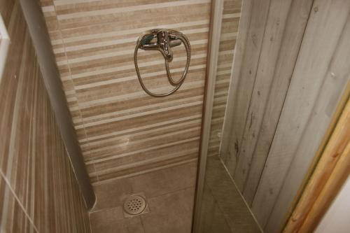 a shower with a shower head in a bathroom at Tara Place - Camp Rabrenovic in Mojkovac