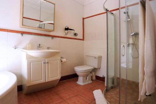 a bathroom with a toilet and a sink and a shower at Orange-Ville Lodge & Guesthouse in Stellenbosch