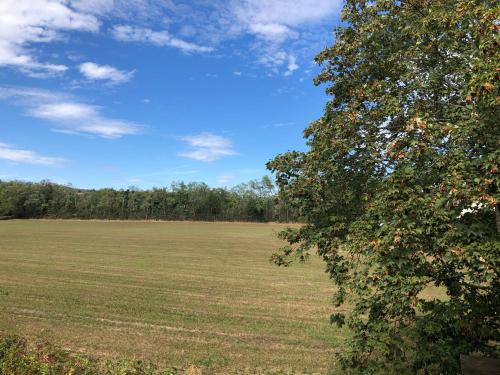 a large field with a tree in the foreground at appartement Saint-Antoine in Toulon-sur-Arroux