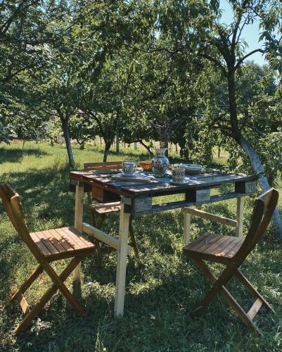 a picnic table and two chairs in the grass at Pensiunea Aurelia in Şiria