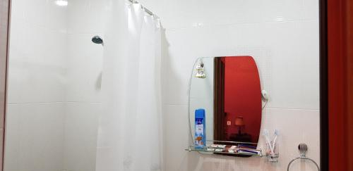 a bathroom with a shower curtain and a mirror at Ruzan hotel in Ijevan