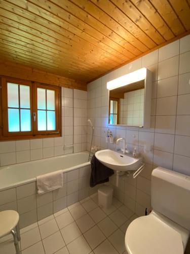 een badkamer met een wastafel, een toilet en een bad bij Sorgenfrei in Schwarzsee