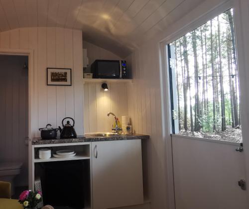 eine kleine Küche mit einem Waschbecken und einem Fenster in der Unterkunft Forest Heath Shepherd's Huts in Ringwood