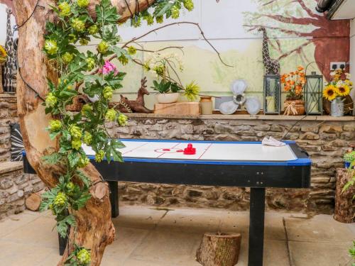 una mesa de ping pong en una habitación con plantas en Fosfelle Glamping, en Hartland