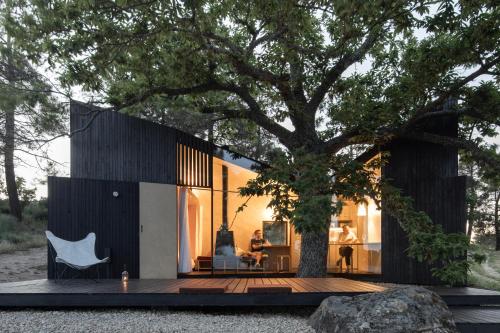 una pequeña casa con un árbol en una terraza de madera en CASA NO CASTANHEIRO, en Meda
