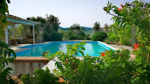 una piscina en el patio trasero de una casa en Villa Belvedere, en San Vincenzo
