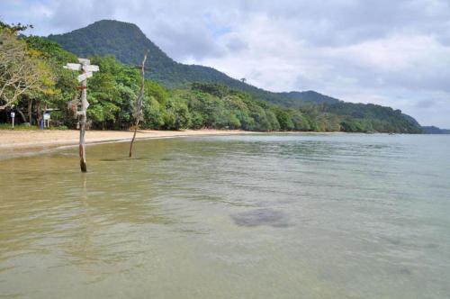 Landskap semula jadi dekat dengan vila ini