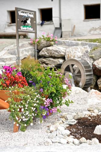 Un jardín fuera de Feriendorf Ponyhof