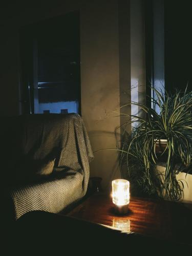 a lamp sitting on a table next to a plant at Pensiunea Aurelia in Şiria