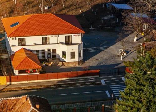 an overhead view of a building with an orange roof at Pensiunea Aurelia in Şiria