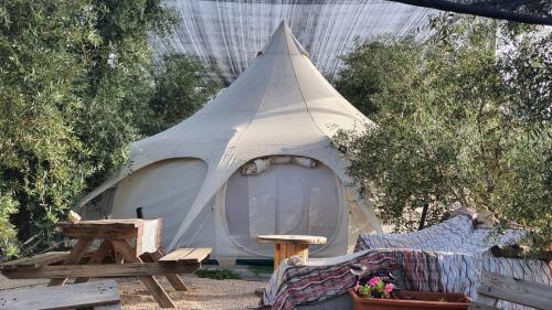 Maʼor的住宿－אוהל הזית，配有桌子和野餐桌的白色帐篷