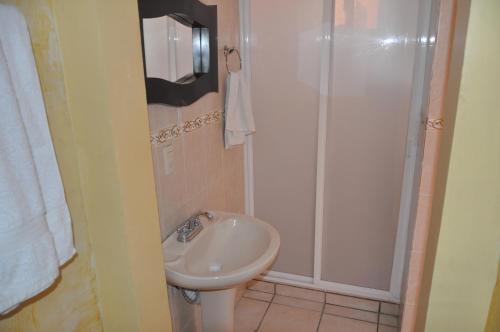 een kleine badkamer met een wastafel en een douche bij Hotel El Mirador in Tequisquiapan