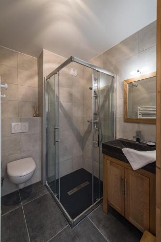 une salle de bain avec une douche, des toilettes et un lavabo dans l'établissement ODYSSEE D103 Appartement chaleureux sur les pistes, à La Toussuire