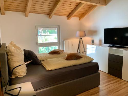 a bedroom with a bed and a television in a room at Apartment "Im Sonneneck" bis 4 Personen mit Parkplatz, W-LAN, Netflix im Thüringer Wald, Schleusingen in Schleusingen
