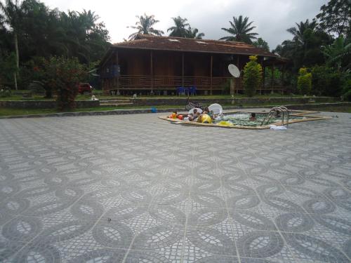 a house with a swimming pool in front of a building at Jardim Botânico ME-ZOCHI in Vila Moura