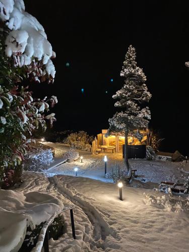 a snow covered yard with a christmas tree and lights at Sol del Nahuel - Hotel & Spa in San Carlos de Bariloche