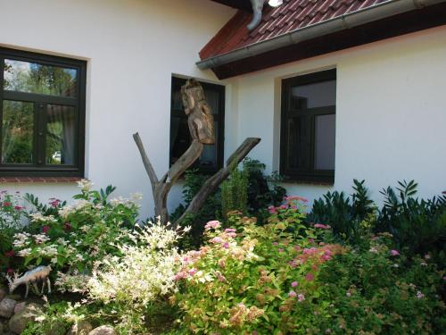 Zahrada ubytování Wohnung in Dargun mit Garten