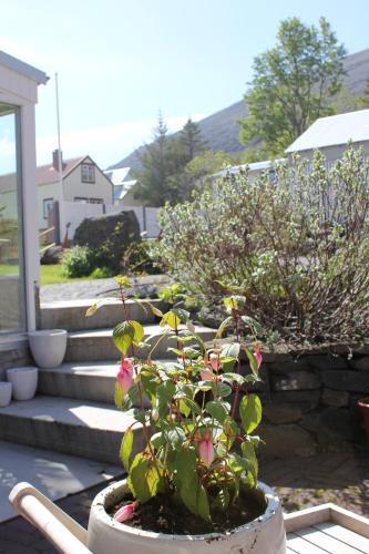 Galeriebild der Unterkunft The Guesthouse by the Fjord in Þingeyri
