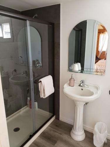 a bathroom with a shower and a sink and a mirror at New Buddha Bing Unique Experience Cottage and Cabins in Tobermory