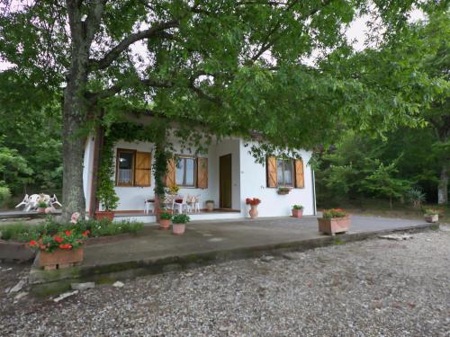 パッシニャーノ・スル・トラジメーノにあるBelvilla by OYO Casa Fiori I Geraneiの鉢植えの小さな白い家