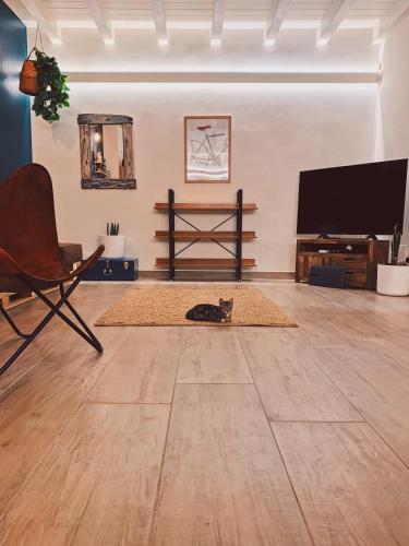 a cat laying on a rug in a living room at Apartment Charme and Relax with Garden and Swimming Pool in Desenzano del Garda