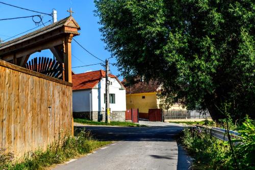 a road with a wooden fence and a house at Lina Agropanzió in Tomeşti