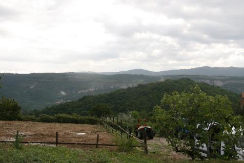 a view of the mountains from a vineyard at Camping Jakomin in Koper